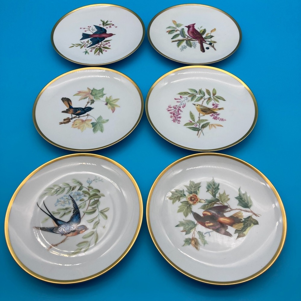 RARE Pre-War Hutschenreuther Selb Audubon Bird Plates - Set of 6 - Circa 1930s - Picture 1 of 9